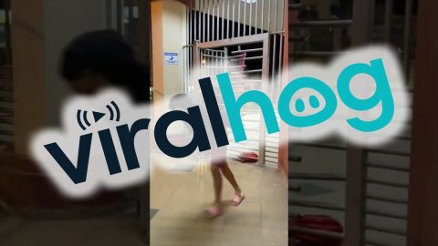 Entering Through The Exit || ViralHog
