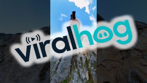 The Ultimate BASE Jump || ViralHog