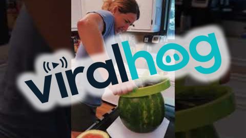 Slicing A Melon With A Melon-Slicer || ViralHog