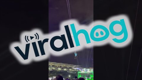 Stuck Zipliner Has the Best Seat at the Show || ViralHog