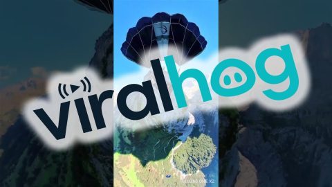 Jumping Off a Roof Halfway Up a Mountain || ViralHog