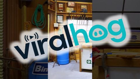 90s Sitcom In A Miniature || ViralHog