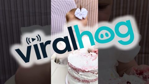 Daughter Delicately Devours Dessert || ViralHog