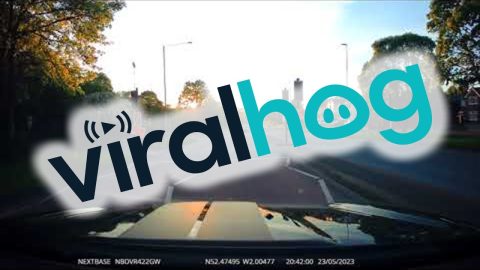 Driver Captures Hit-and-Run Crash on Dashcam || ViralHog