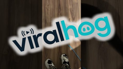 He Couldn't Quite Reach That High Note || ViralHog