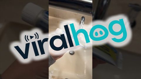 When You Thought You Grabbed Toothpaste || ViralHog