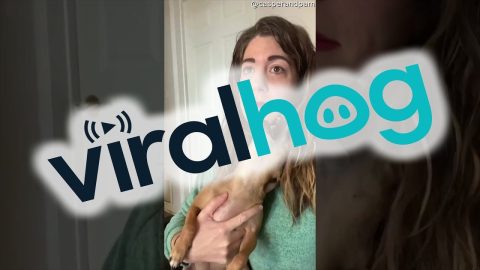 Puppy Provides His Own Take on Silent Night || ViralHog