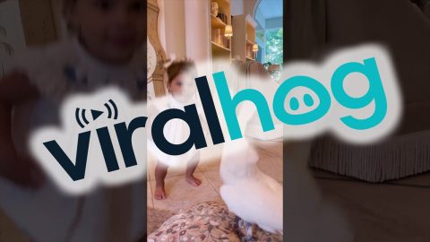 Cockatoo Is a Dance Coach || ViralHog