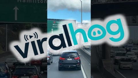 Cops Control The Traffic Flow || ViralHog