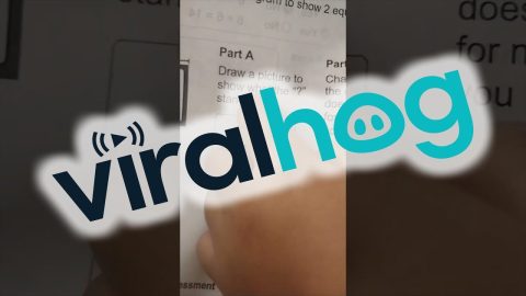 Girl Explains Her Answer on Math Homework || ViralHog