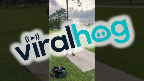 This Disc Golf Player Is A Pro || ViralHog