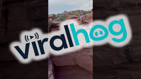 Rope Swing Through The Canyon || ViralHog