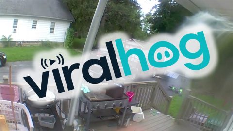 Ladder Collapses Under Power Washer || ViralHog