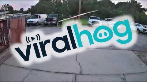 Guy Lets Ladder Fall on Pickup || ViralHog