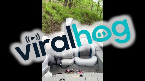 Navigating A Shallow River || ViralHog