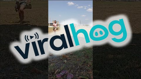 Bird Swoops Down on Girls Playing in Park || ViralHog