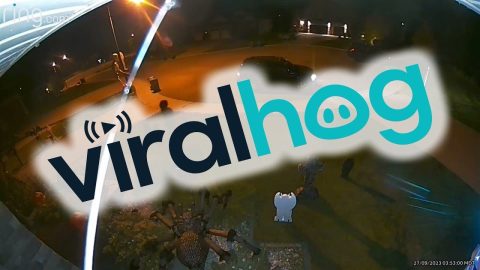 Bad Neighbour Takes Halloween Decorations || ViralHog