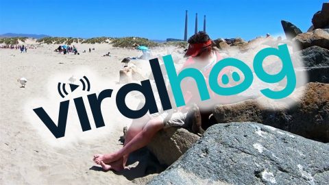 Relaxing With The Locals || ViralHog