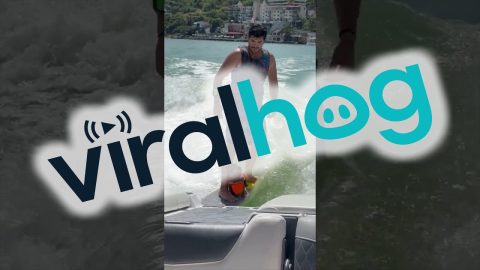 A Wakeboarding Dog || ViralHog