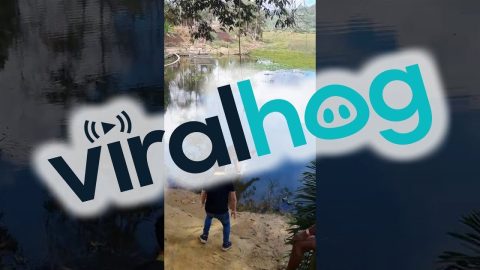 Rope Swing Into The Lagoon || ViralHog