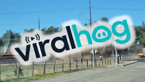 Train Crashes Into High-Centered Tractor || ViralHog