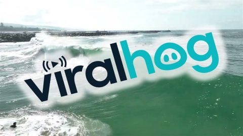 A Surf Attempt On A Beautiful Wave || ViralHog