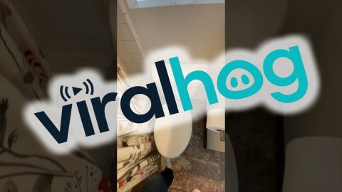 Odd Bathroom Window Sparks Some Questions || ViralHog