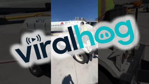 Ground Crew Has A Little Too Much Fun || ViralHog