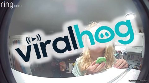 Girl Sneaks a Cookie Without Mom’s Permission || ViralHog