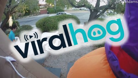 Security Camera Catches Thief Stealing Halloween Decoration || ViralHog