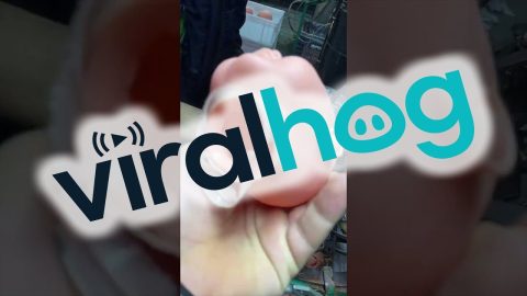 Doll Head Production || ViralHog