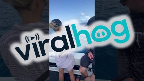 Something Smells Fishy || ViralHog