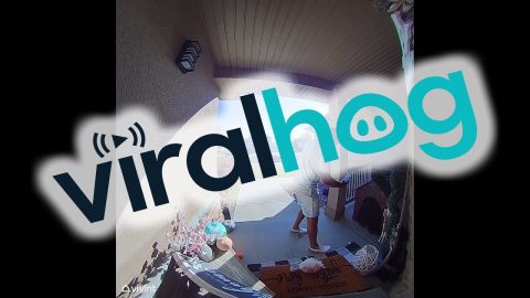 Delivery Driver Gets A Surprise || ViralHog
