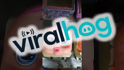 Eyes Stamped Onto Dolls at Factory || ViralHog