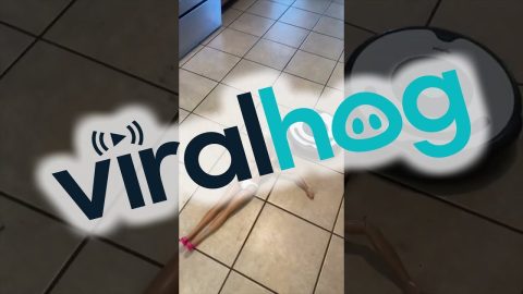 Doll Had A Rough Night || ViralHog