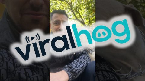 Dog Gives Love Nibbles || ViralHog