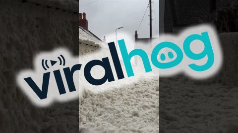 Sudsy Sea Foam Swamps Cape Town Shores || ViralHog