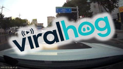 Car Carries On After Swerving Into Curb || ViralHog