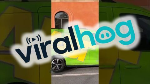 Horse Helps Deliver Food To Hungry Humans || ViralHog