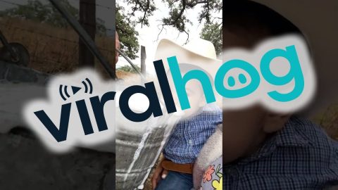 Fresh Milk On The Ranch || ViralHog