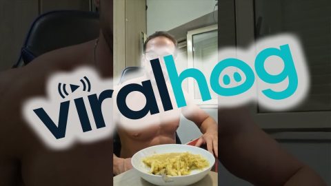 Earthquake Hits During Man's Livestream || ViralHog