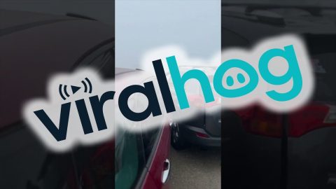 Superfog Causes 168 Car Pileup On Manchac Bridge || ViralHog