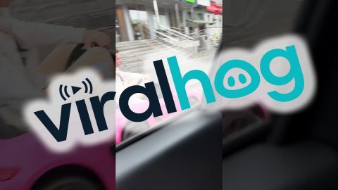 Guys Cruise By In Tiny Cars || ViralHog