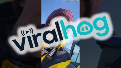 Whale Greets Excited Boaters || ViralHog