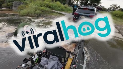 Rumor Has It He's Still Trying to Get Out of the Water to This Day || ViralHog