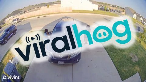 Runaway Vehicle Rolls Out of Driveway || ViralHog