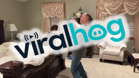 Man And Dog Reunite After Work || ViralHog
