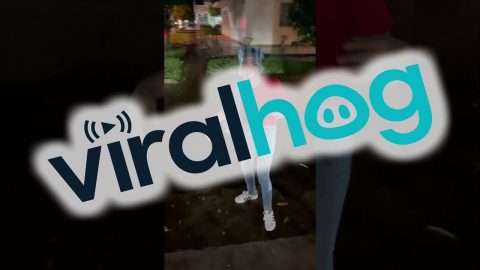 Friend Slips and Falls in Puddle || ViralHog