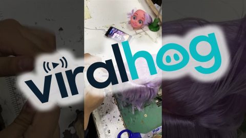 Sewing Hair Onto a Doll's Head || ViralHog