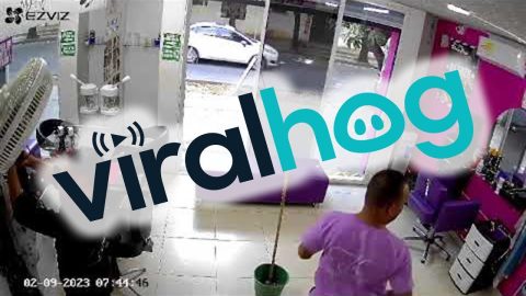 Employee Walks Through Glass || ViralHog